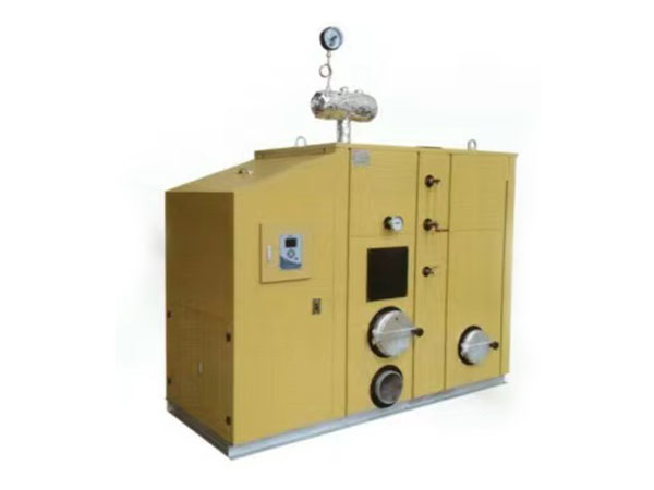 生物质汽水俩用锅炉